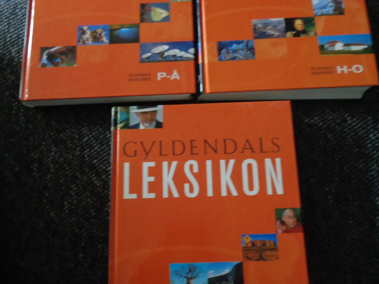 Billede 2 - Gyldendals Leksikon 