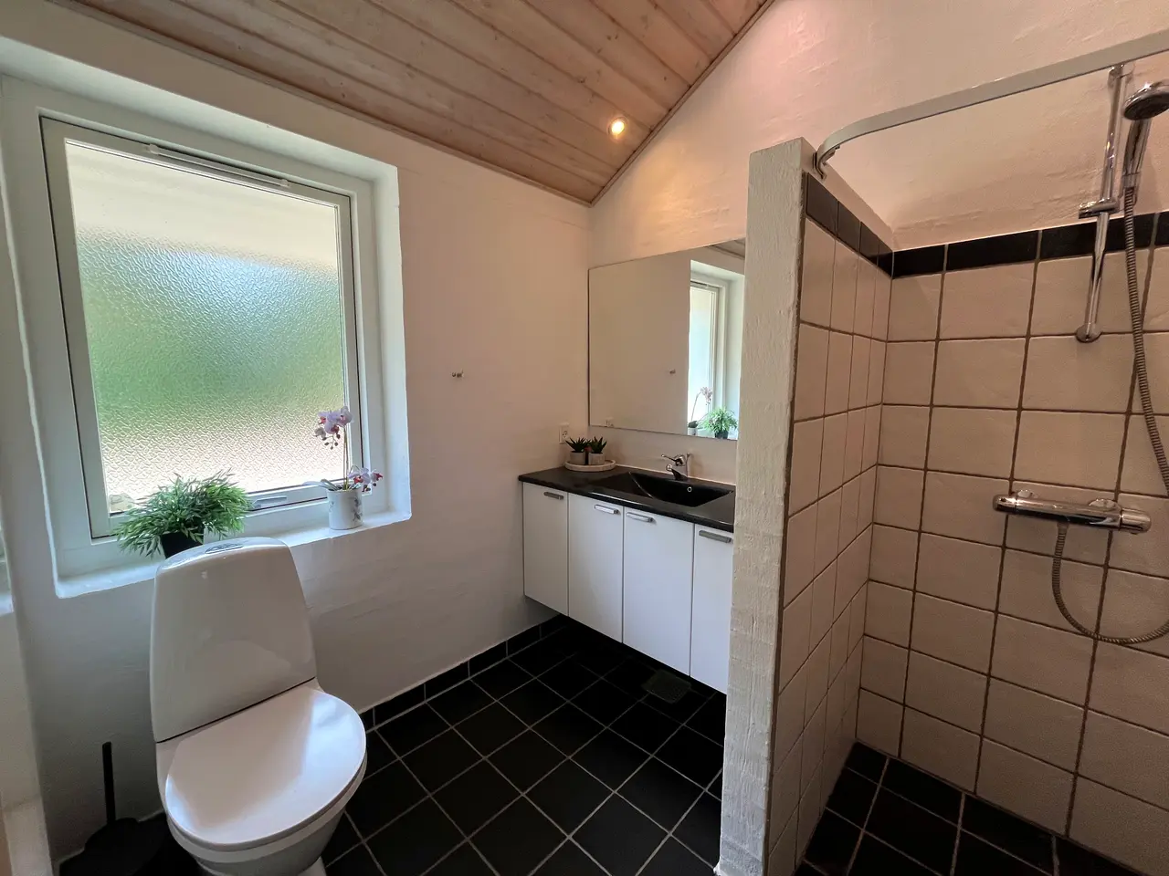 Billede 13 - SUMMER HOUSE FOR RENT - 12 PEOPLE - DANISH HOLIDAY