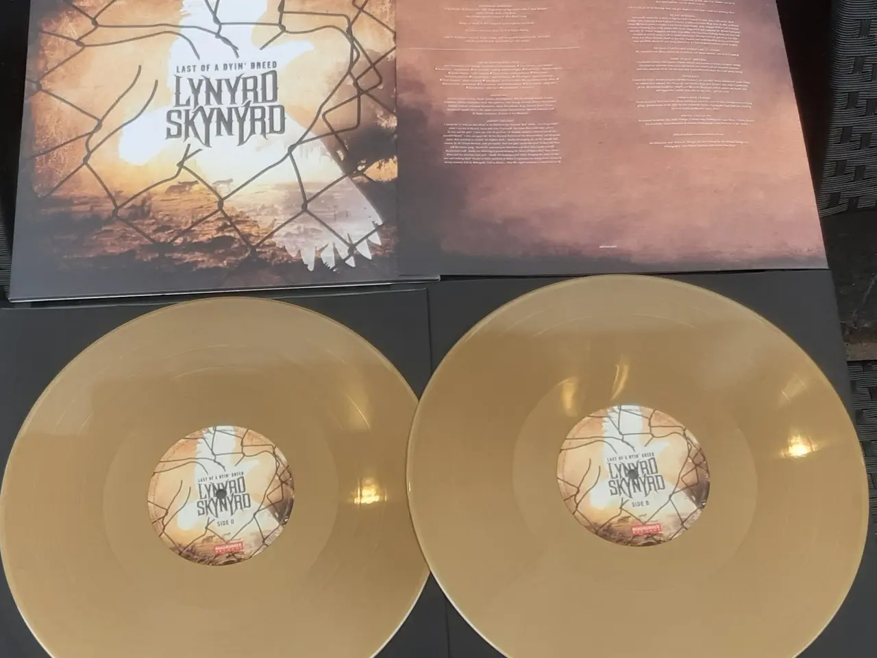 Billede 2 - Lynyrd Skynyrd ... last of a dyin' breed