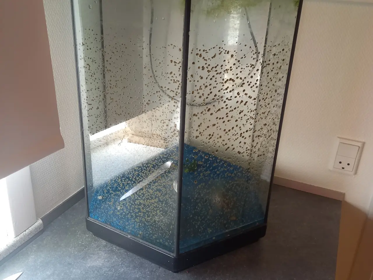 Billede 2 - Akvarium aquael