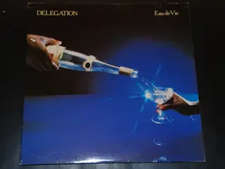 Vinylplade - Delegation