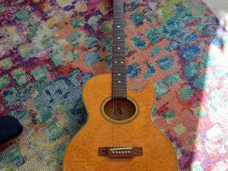 Gibson epiphone model. pr7e/am 