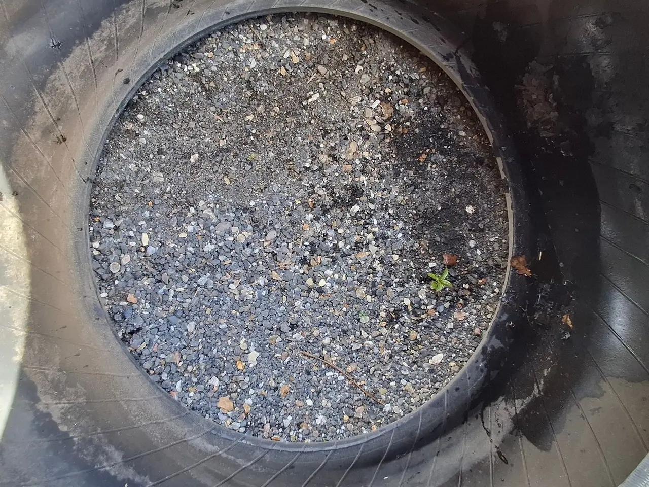 Billede 8 - Trelleborg 650/60R34 XXX
