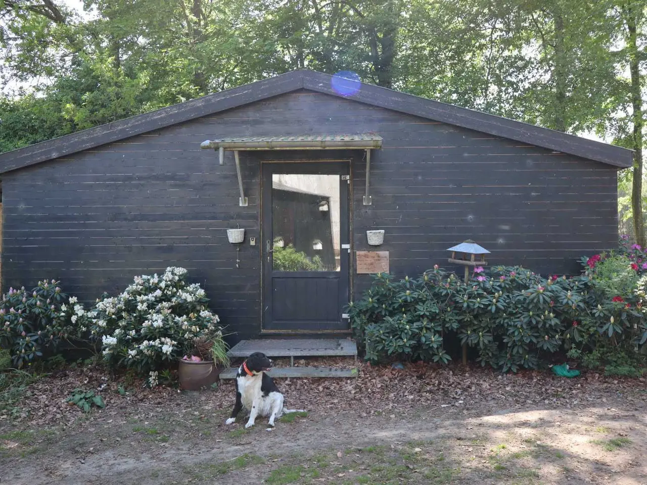 Billede 7 - Annex / sommerhus 