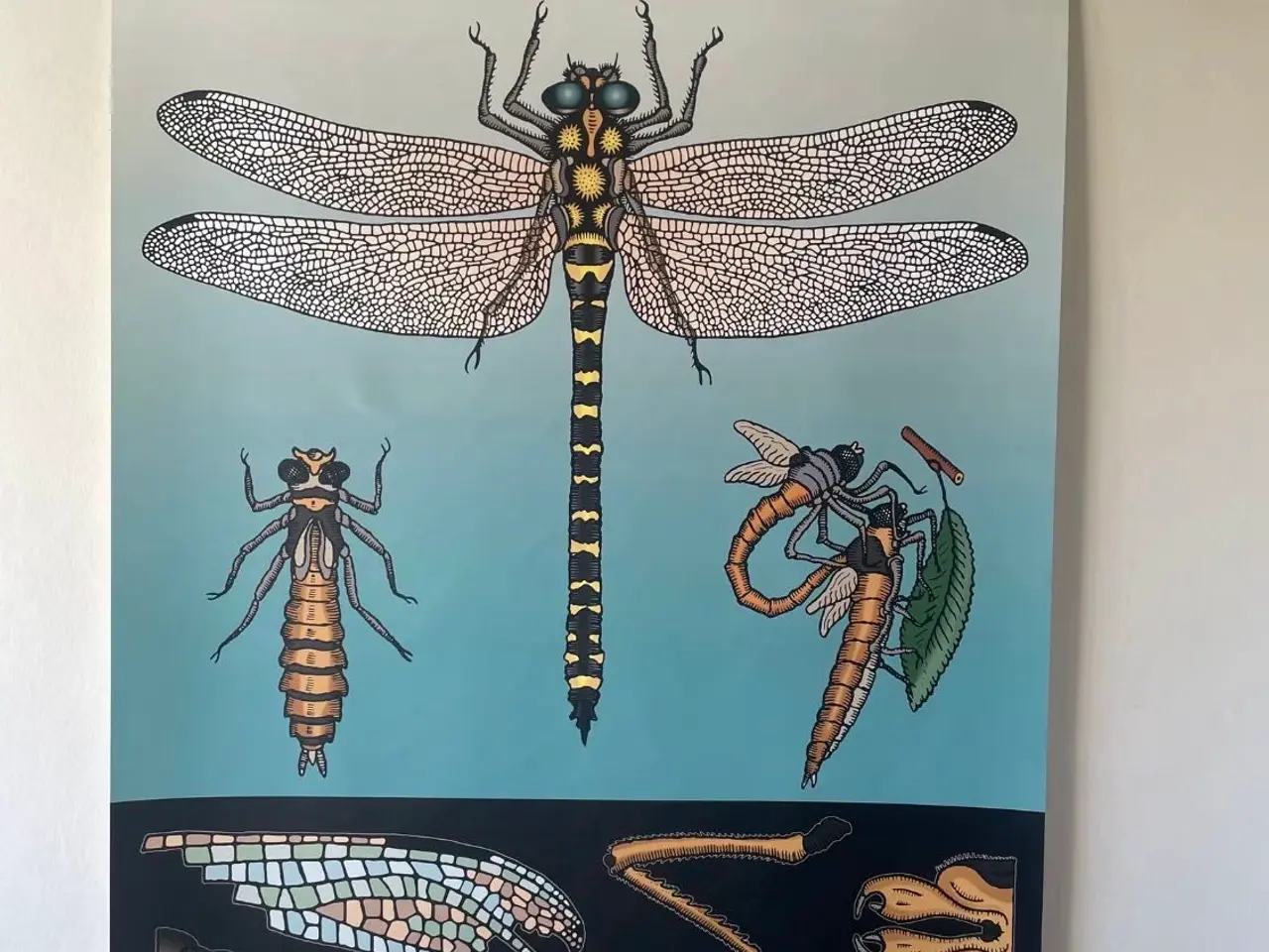Billede 1 - Flot skoleplakat med guldsmed