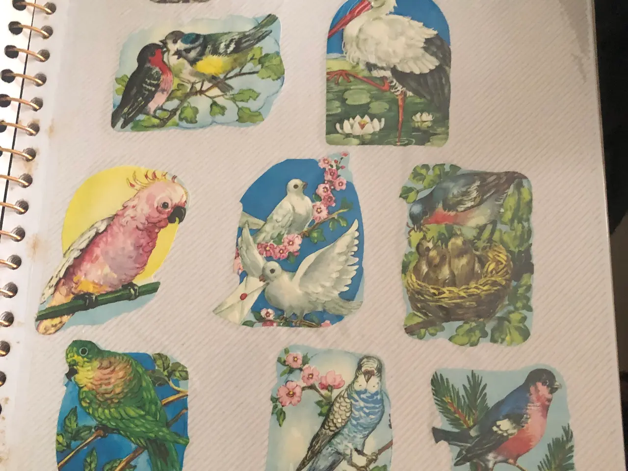 Billede 2 - Glansbilleder i album - samlet i slut 70´erne og f