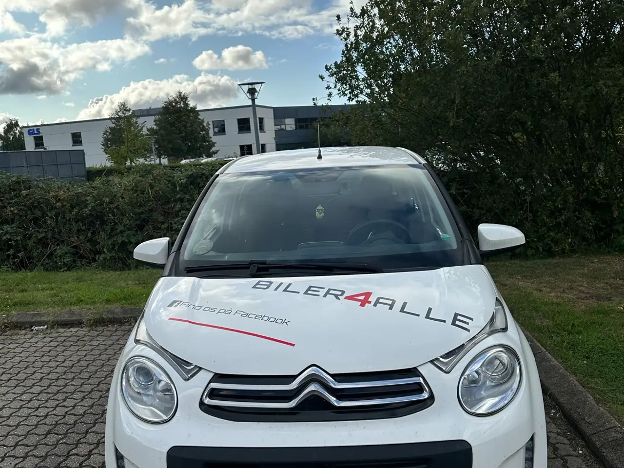 Billede 1 - Det hvide lyn