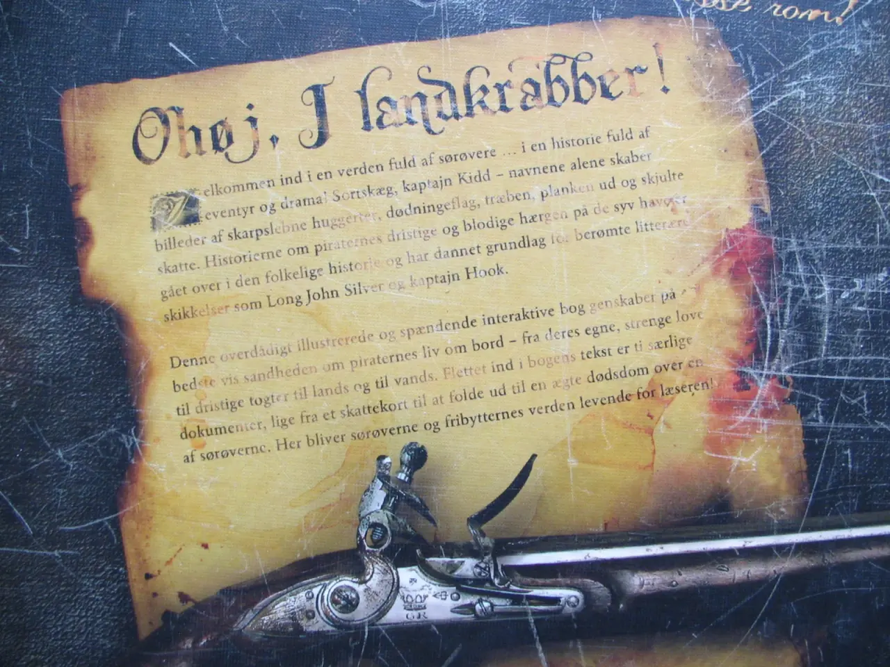 Billede 8 - John Matthews. Pirater