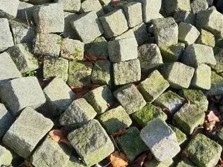chaussesten