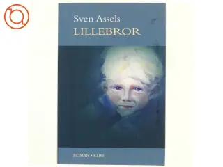 Lillebror af Sven Assels (bog)