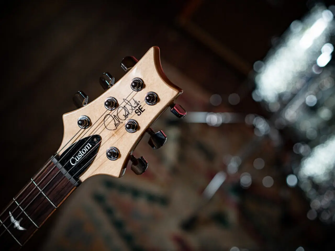 Billede 4 - PRS Custom SE