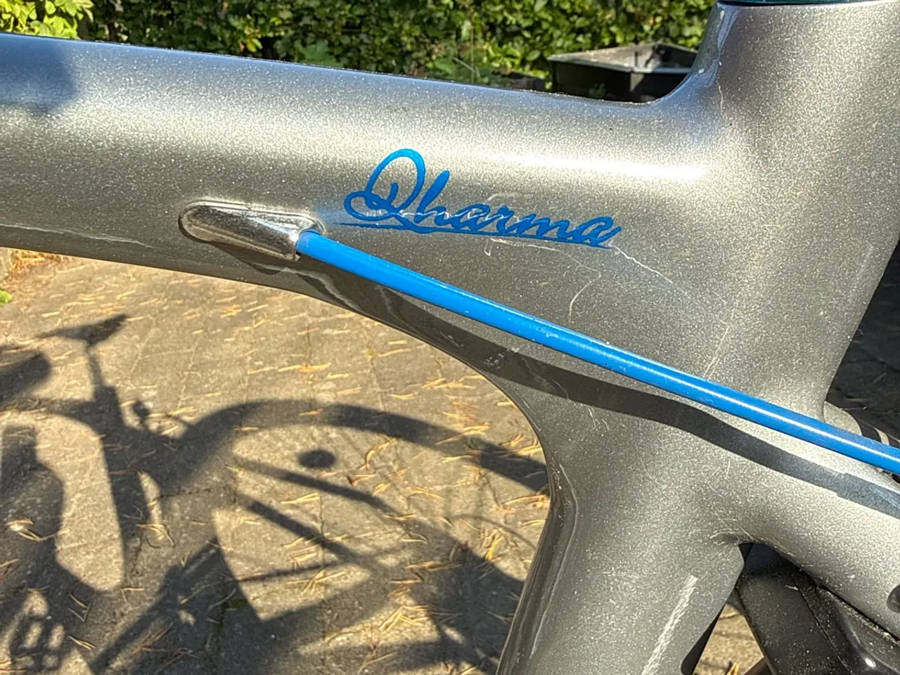 Billede 3 - Avenue Dharma