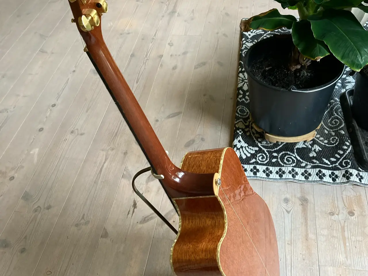 Billede 3 - “Cort” western guitar, halvakustisk. MR-Supreme.