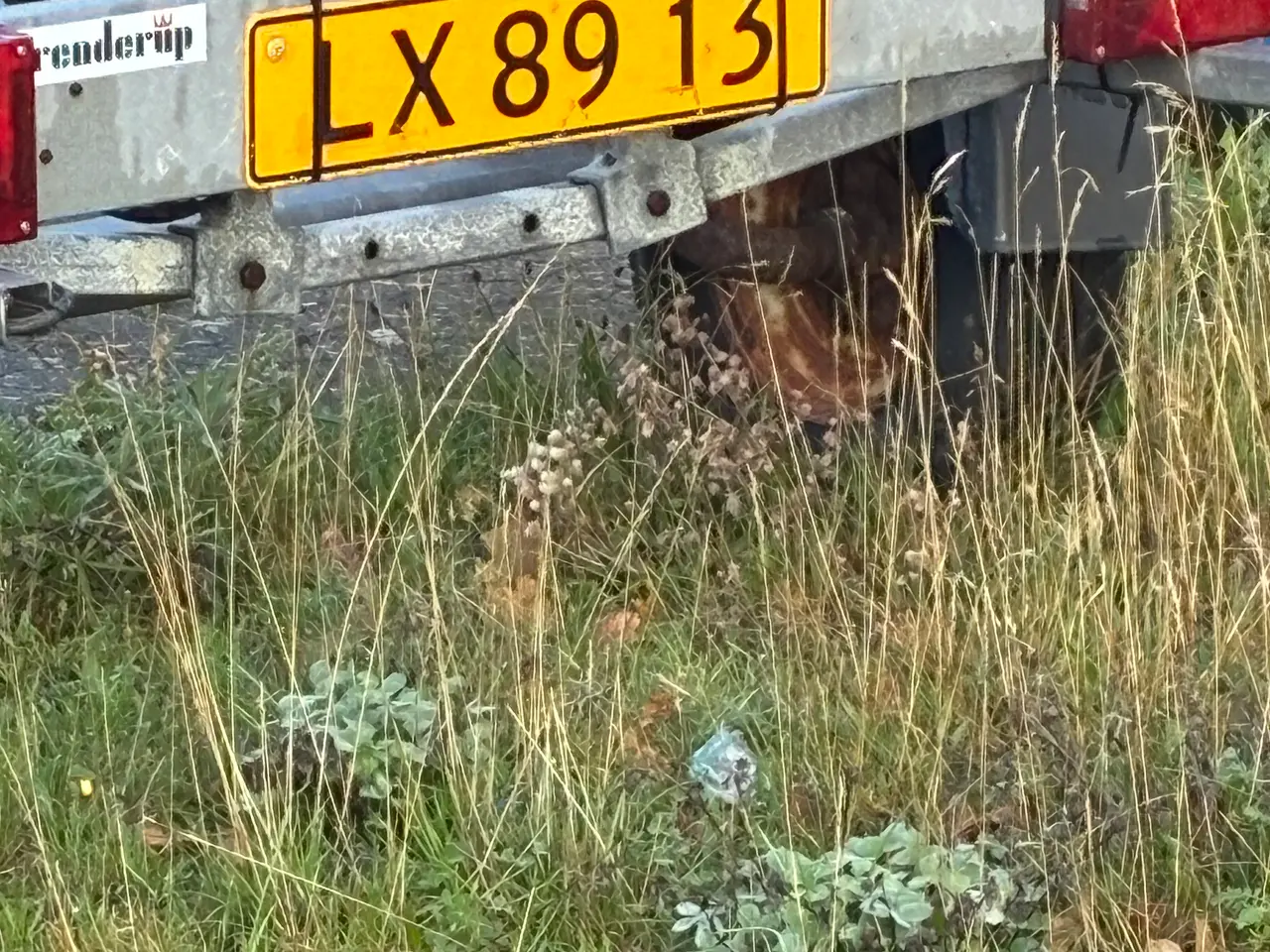 Billede 2 - Bådtrailer til jolle!