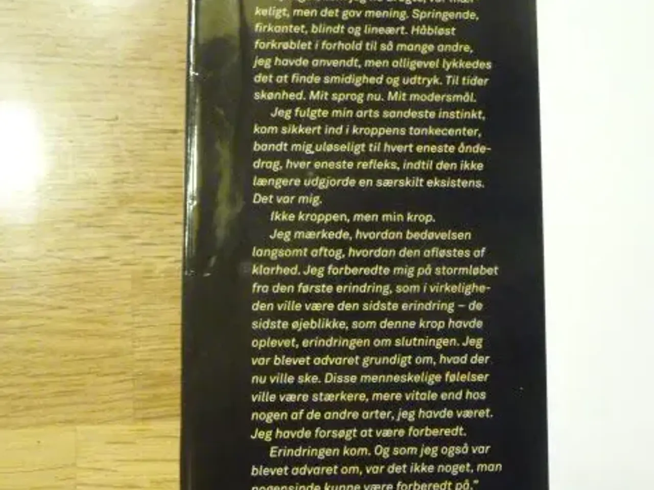 Billede 4 - Vandrende sjæle