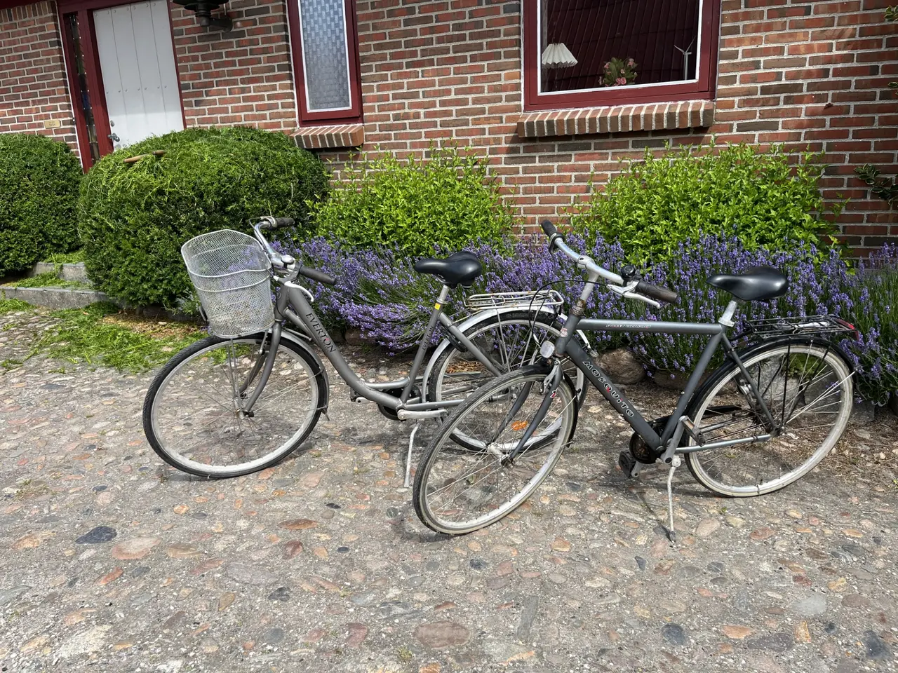 Billede 2 - billige cykler sælges
