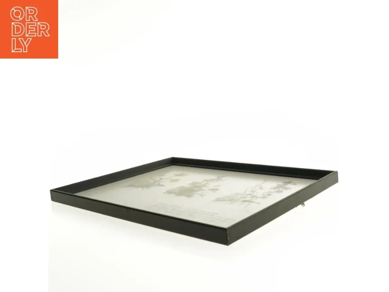 Billede 3 - Indrammet botanisk illustration (str. 40 x 30,5 cm)