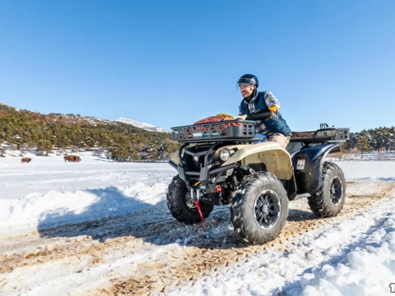 Billede 5 - Yamaha Kodiak 700 EPS Kiwami