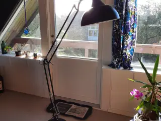 lampe
