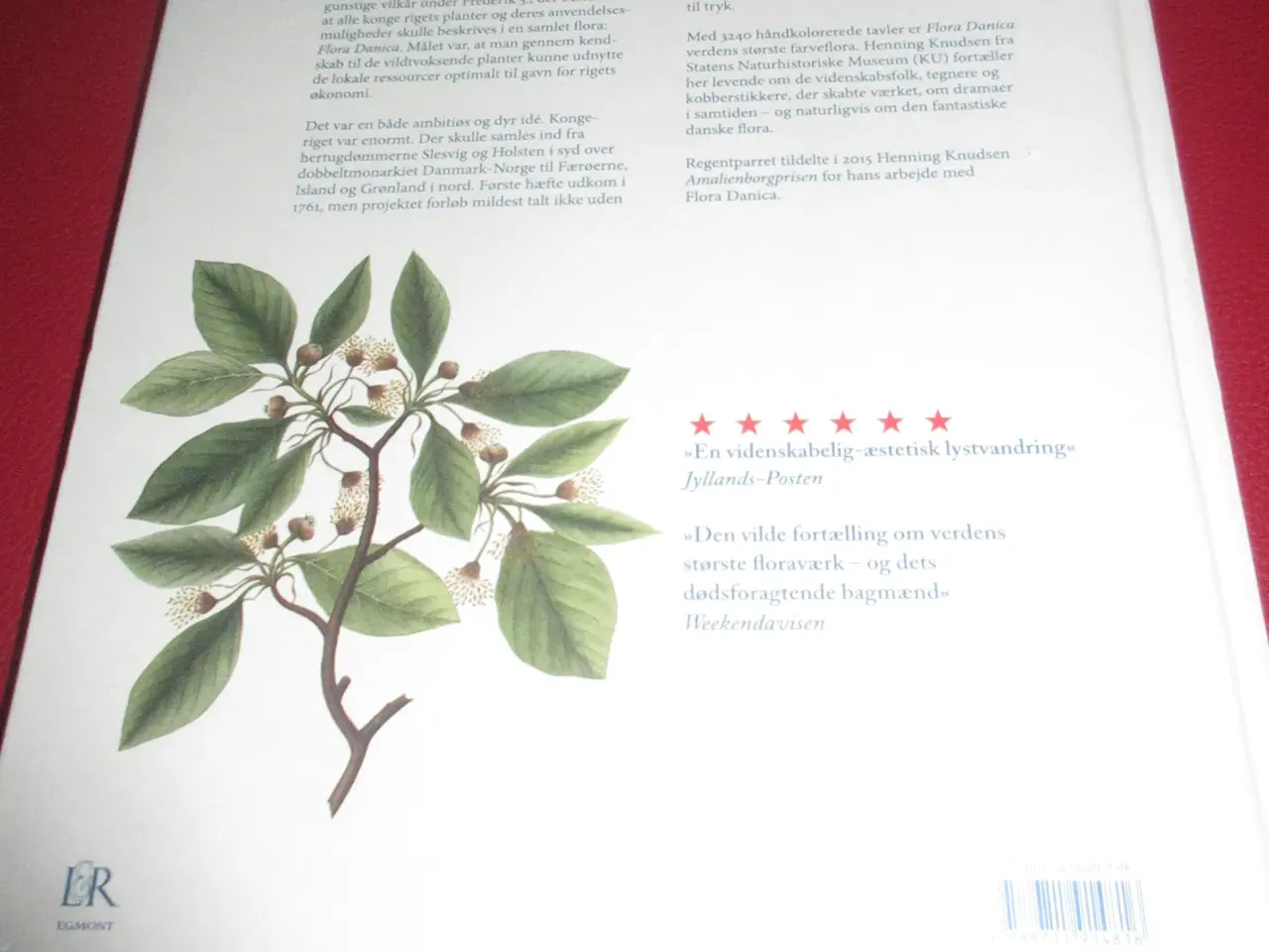 Billede 4 - Bogen Flora Danica af Henning Knudsen