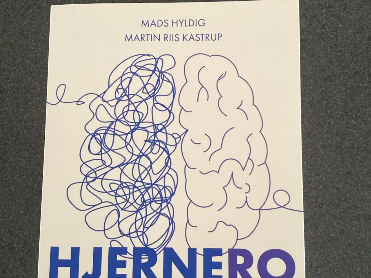 Billede 1 - HJERNERO Bog