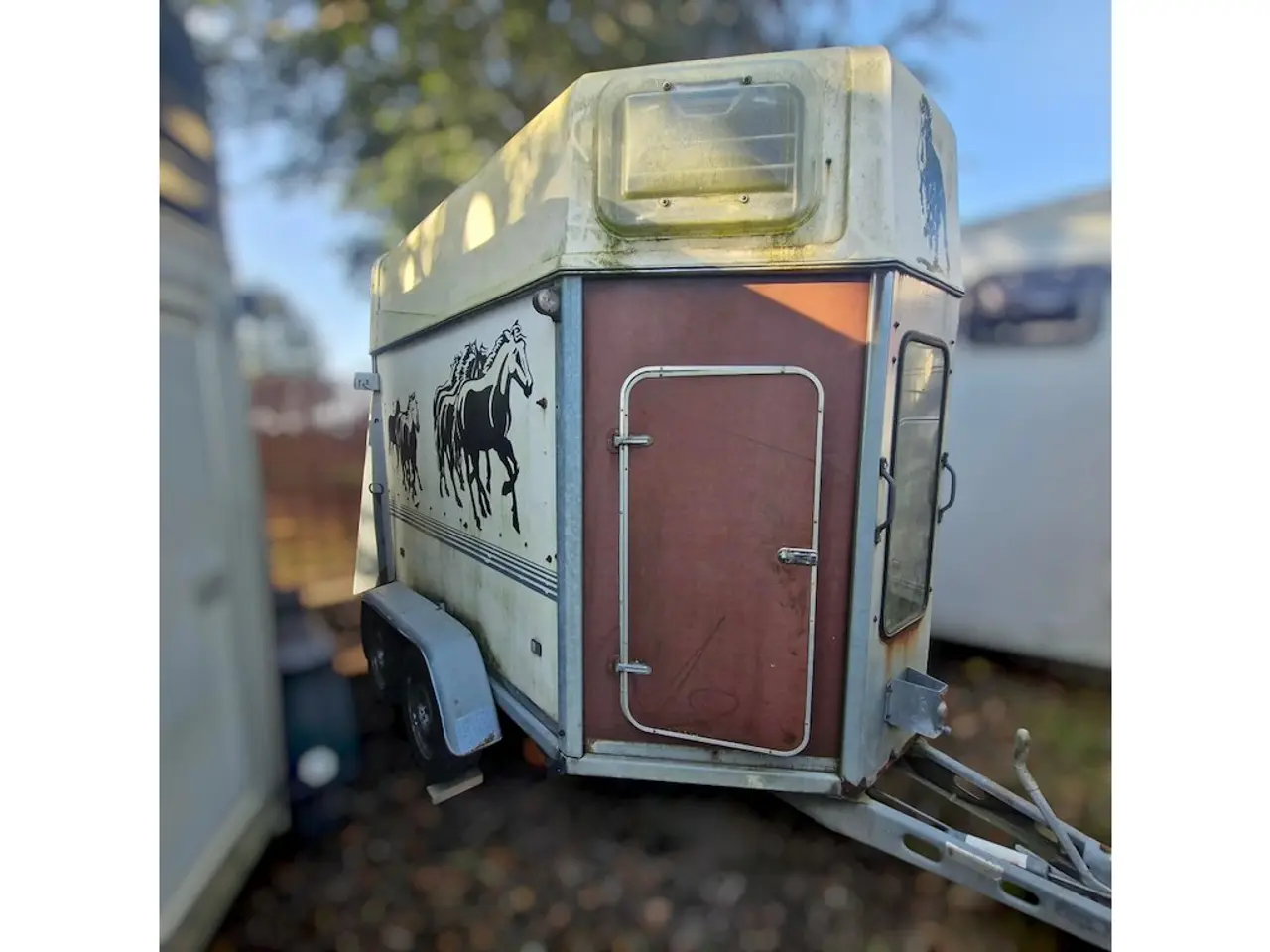 Billede 1 - Variant Hestetrailer
