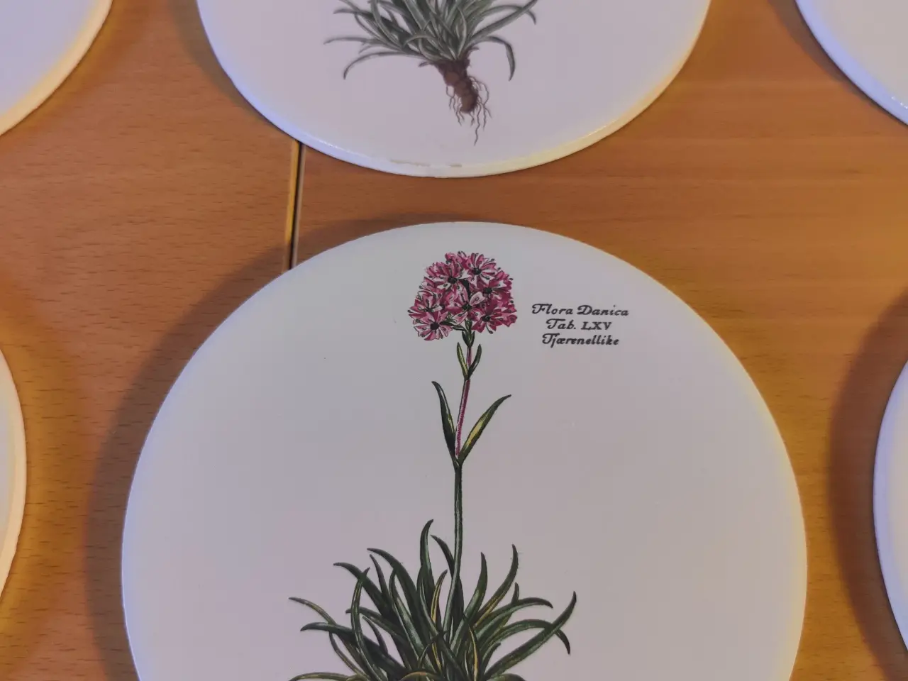 Billede 3 - Flora Danica sæt