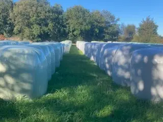Wrap Græs