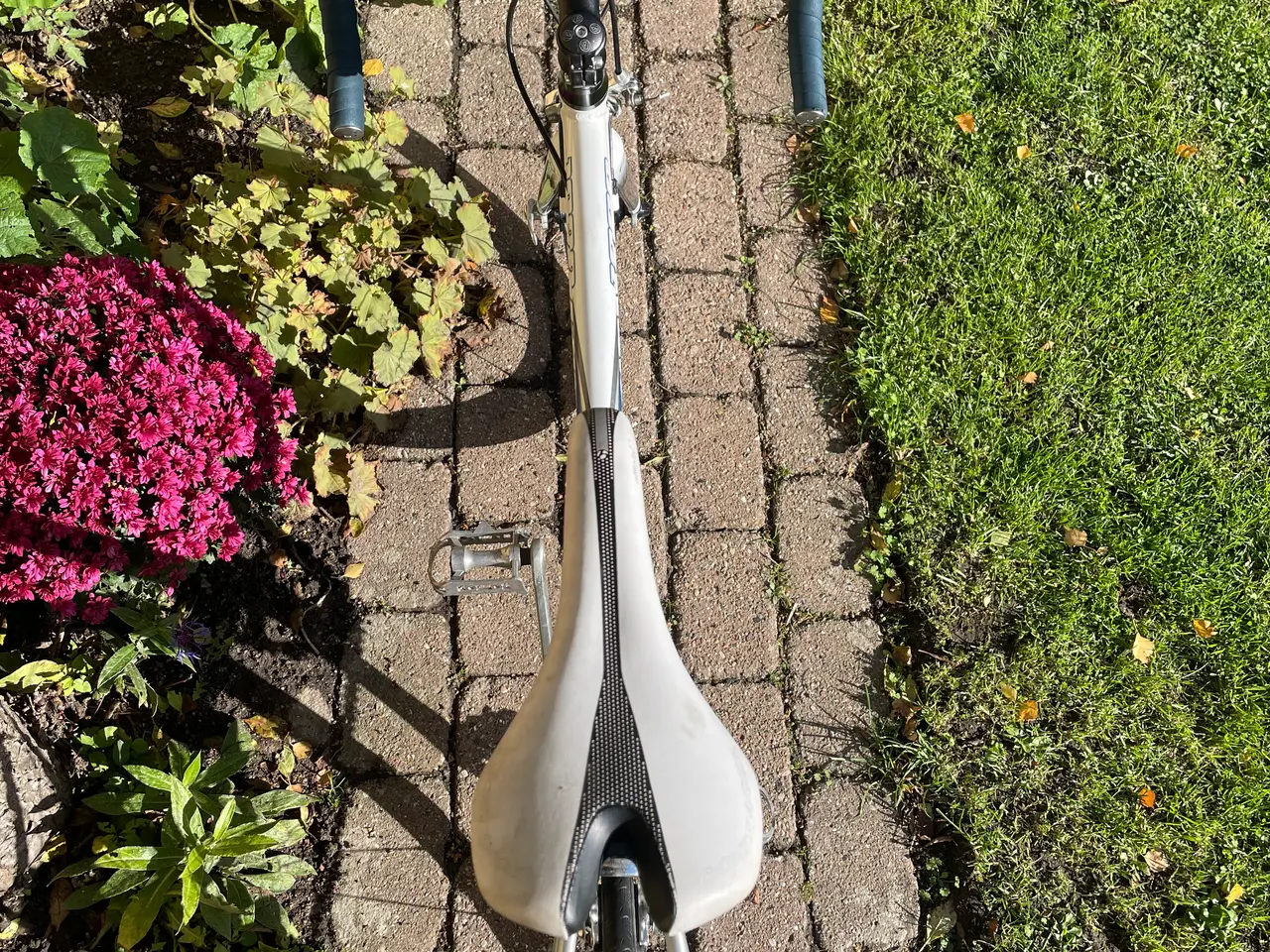 Billede 5 - Hurtig og let-velholdt racercykel - Trek 1000 Alph