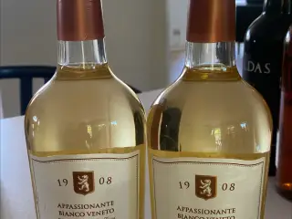 Hvidvin Appassionante Bianco Veneto