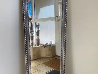 Spejl