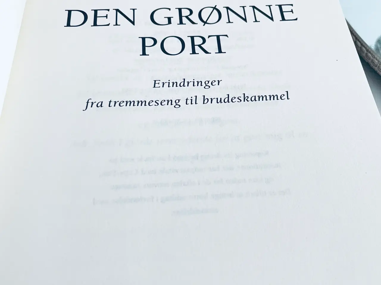 Billede 6 - Den grønne port - Jane Aamund