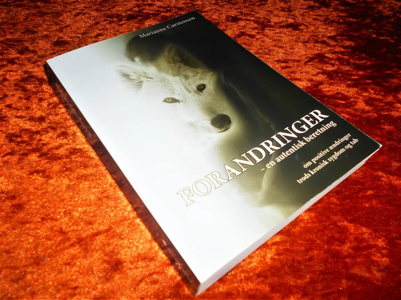 Billede 1 - Forandringer, Marianne Carstensen,
