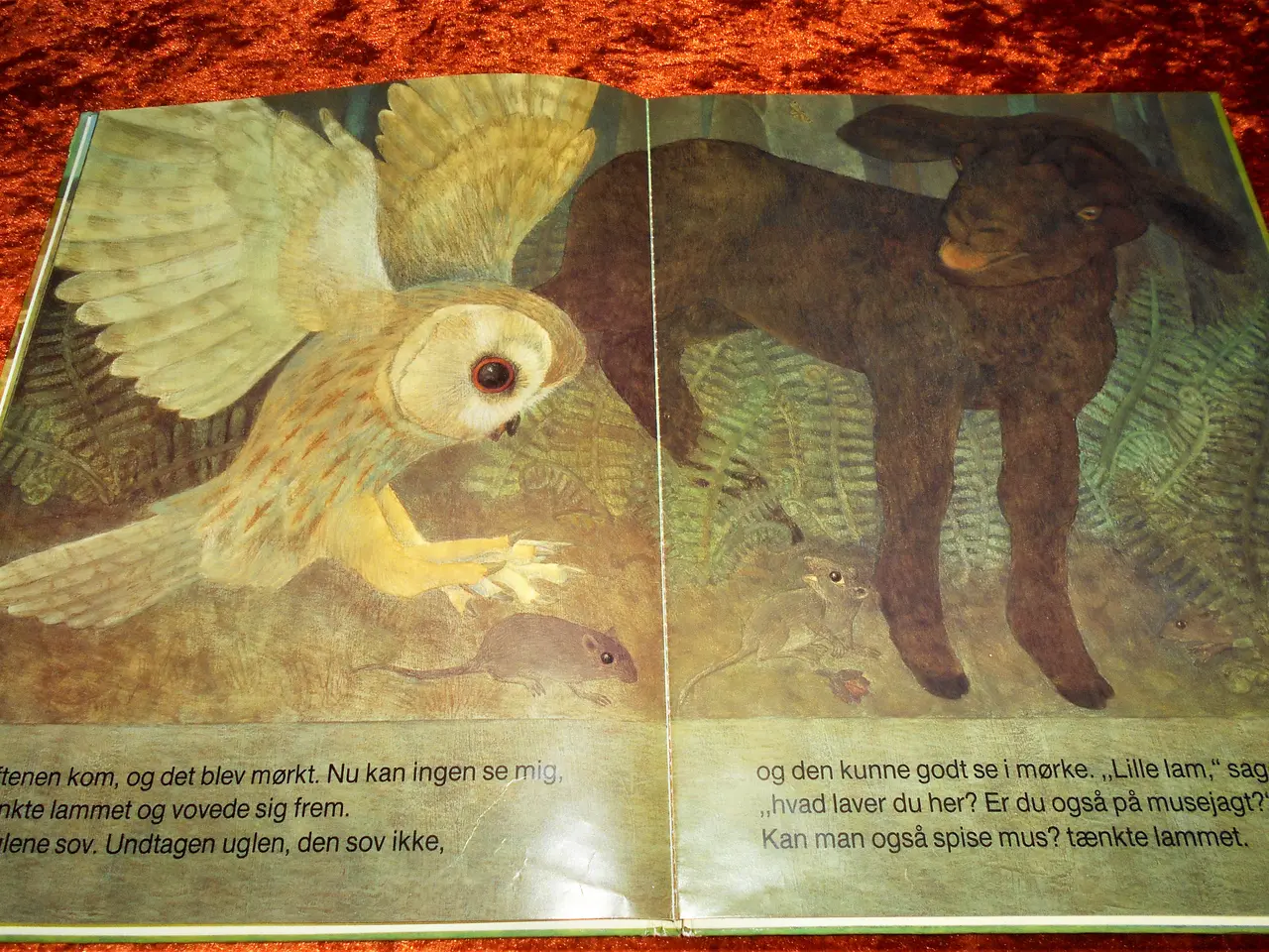 Billede 3 - Det sorte får, Eleonore Schmid
