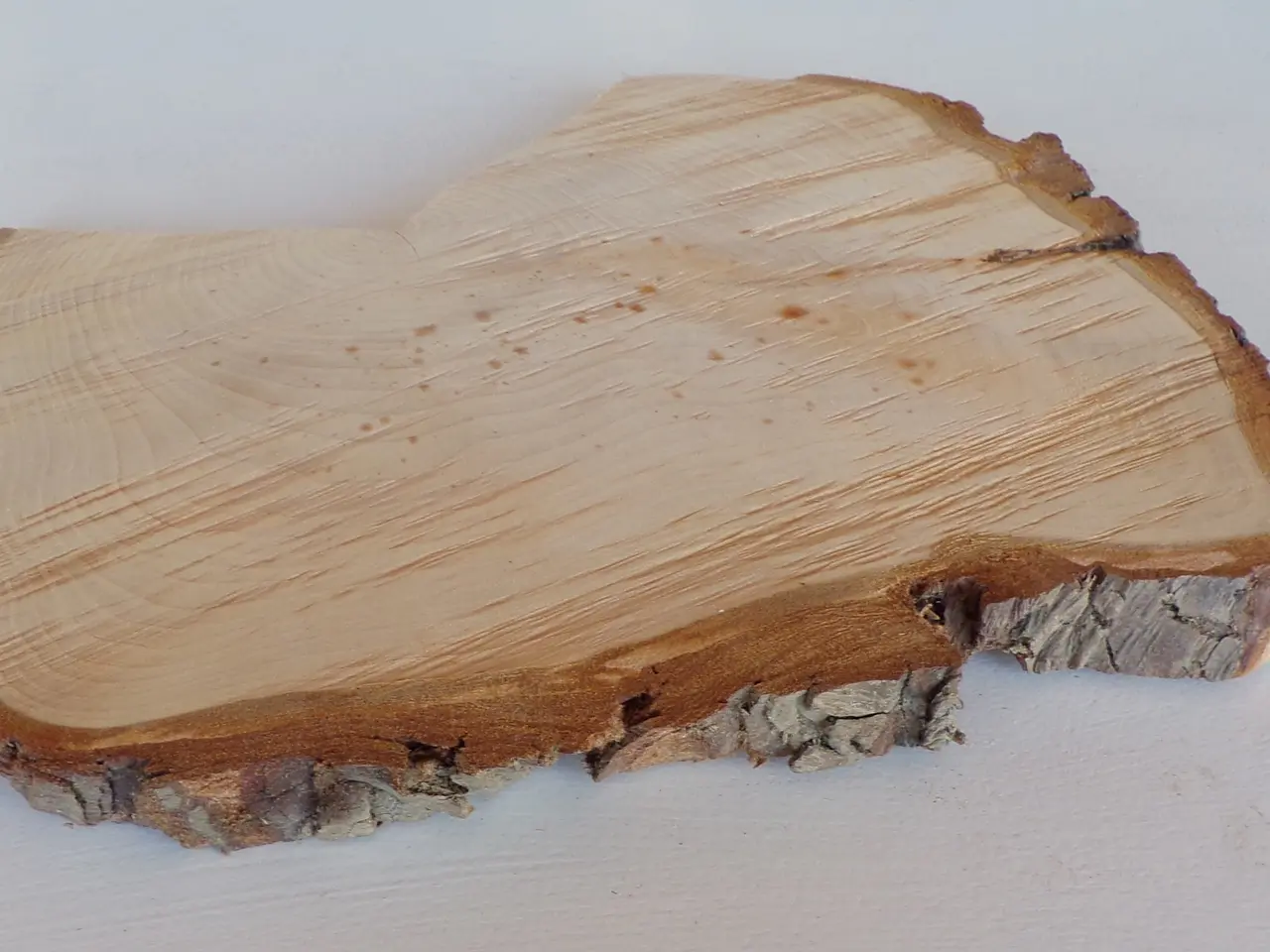Billede 3 - NY Thuja Træskive 29,5 cm
