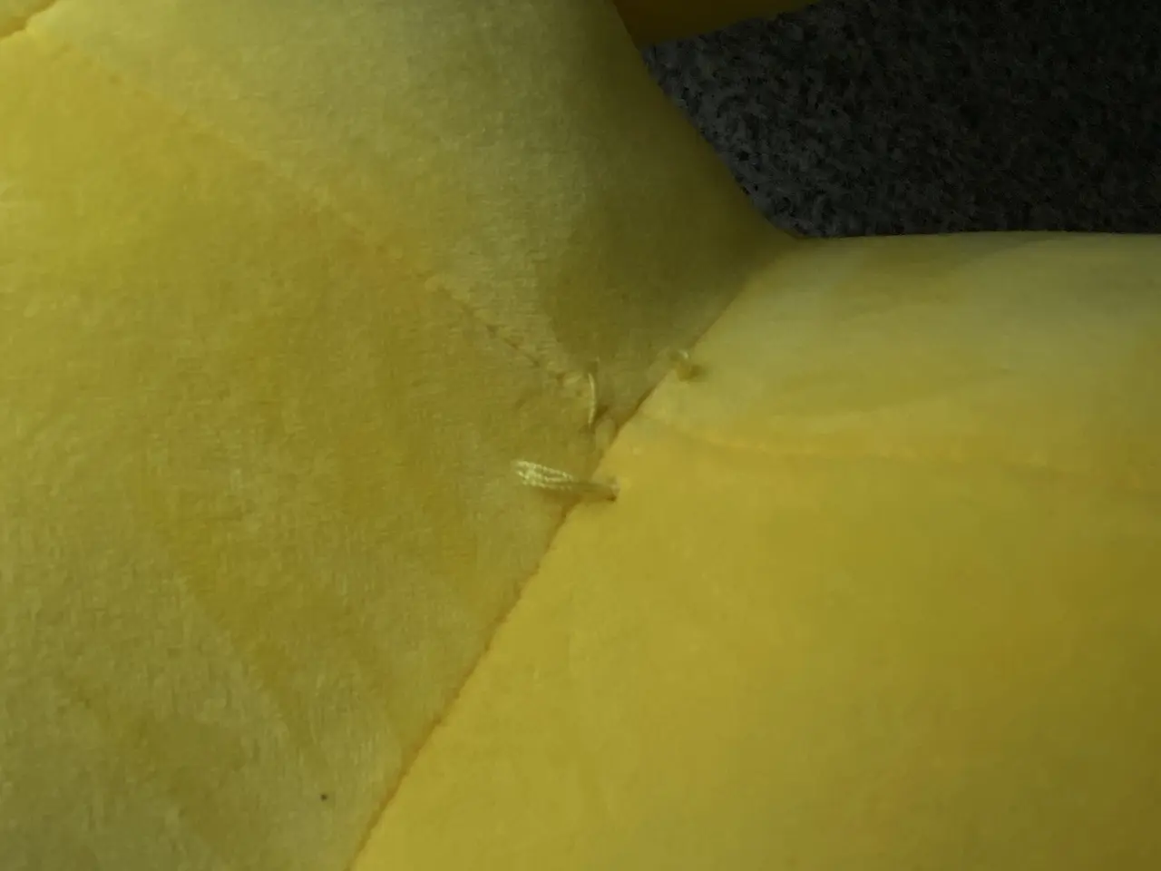 Billede 7 - Pikachu bamse