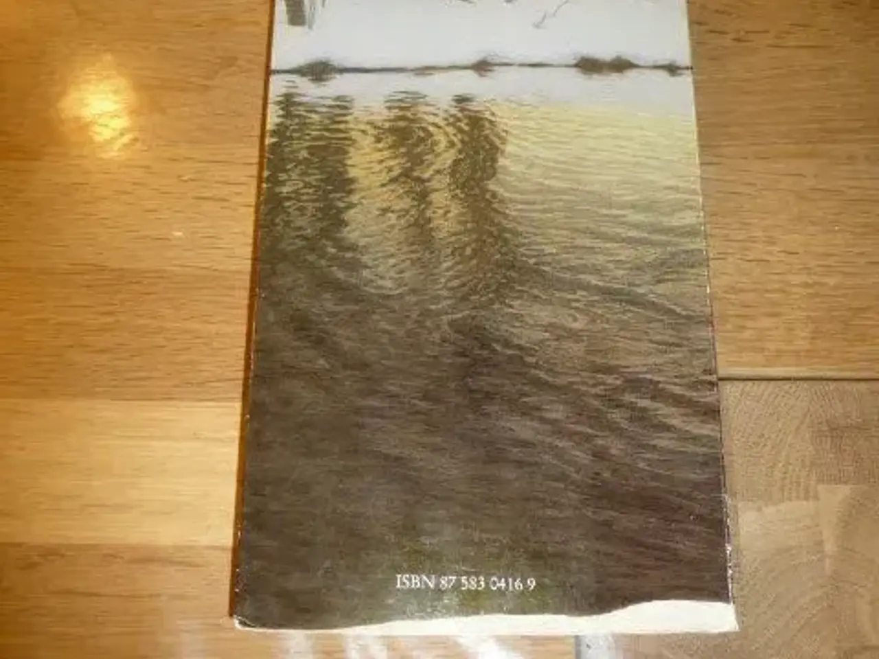 Billede 2 - Isdykkeren