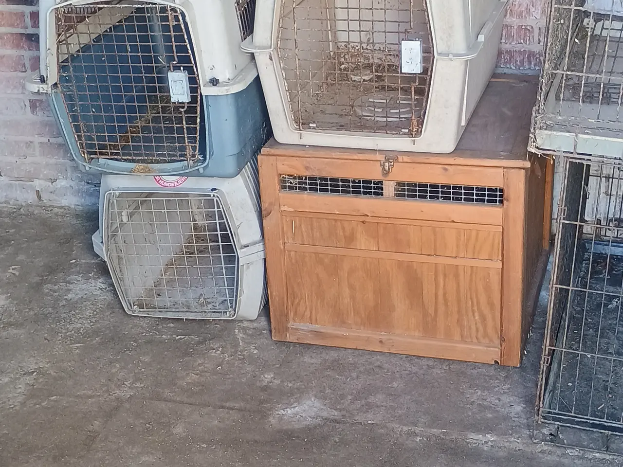 Billede 6 - Fodder/vand automater flyttesalg