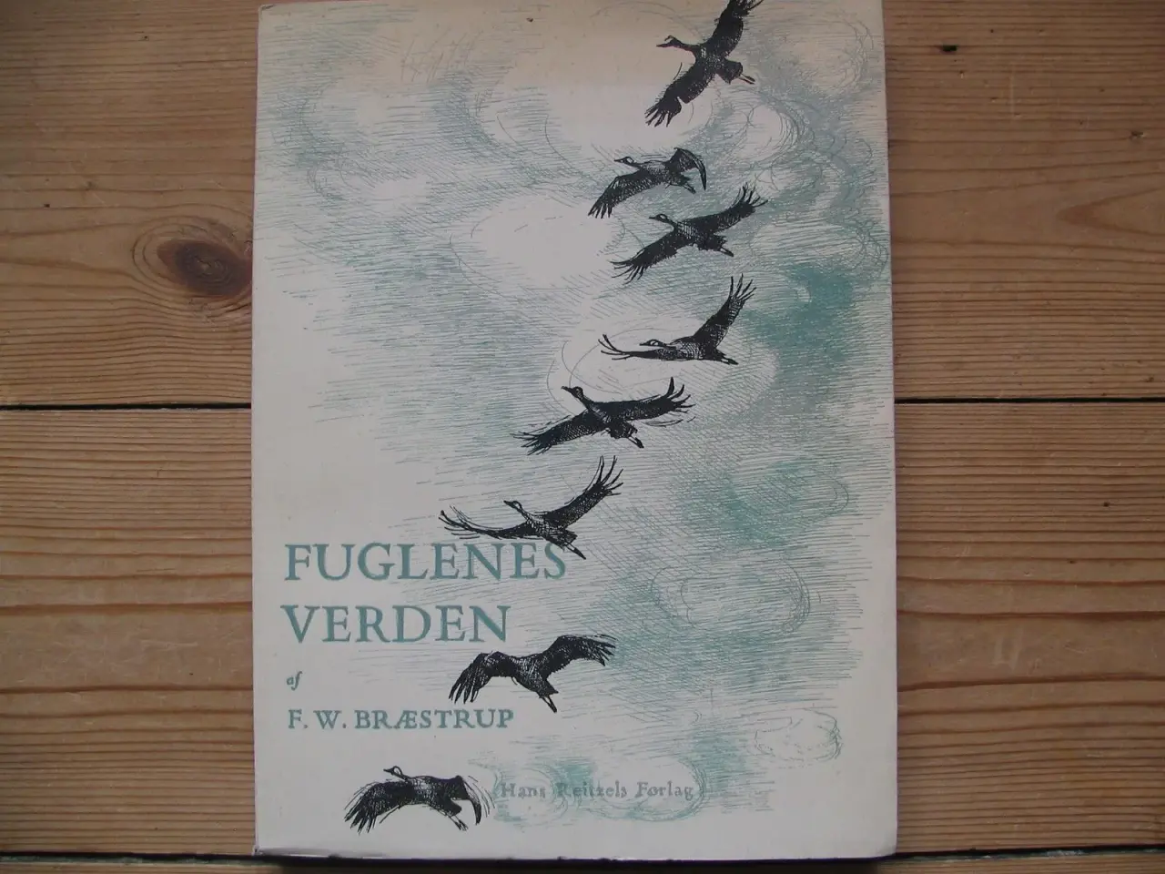Billede 1 - Fuglenes verden