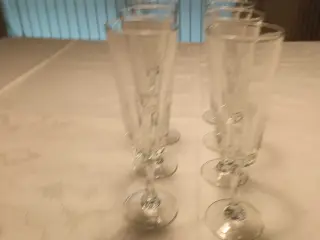 6 stk. Champagne glas