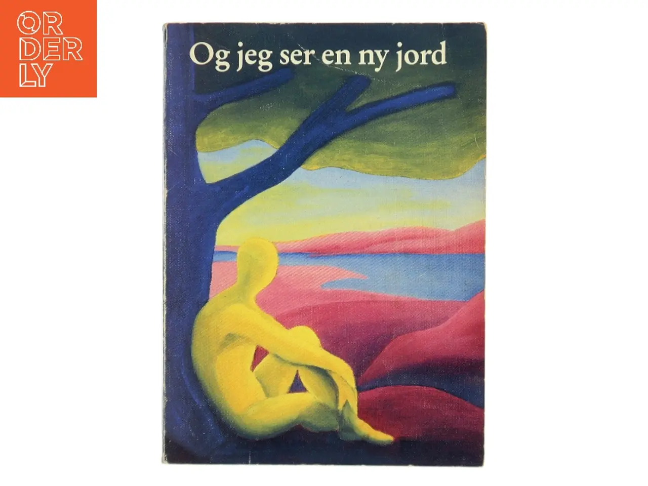 Billede 1 - Og jeg ser en ny jord af Birgit Klein (Bog)