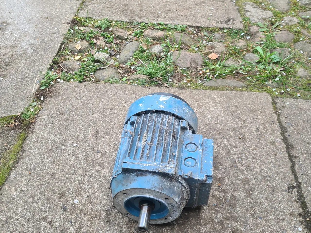 Billede 1 - Elektrisk motor