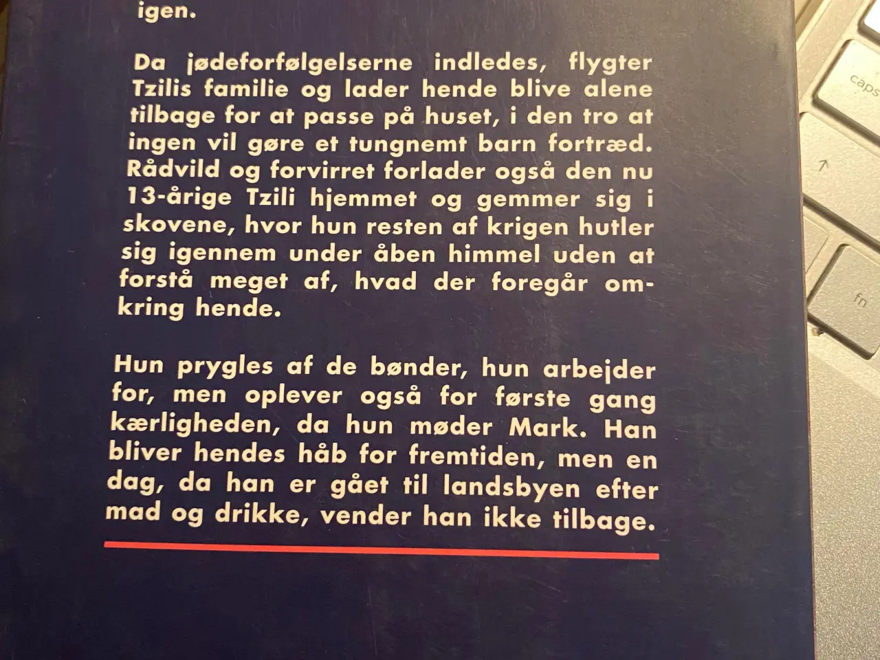 Billede 2 - Tzili