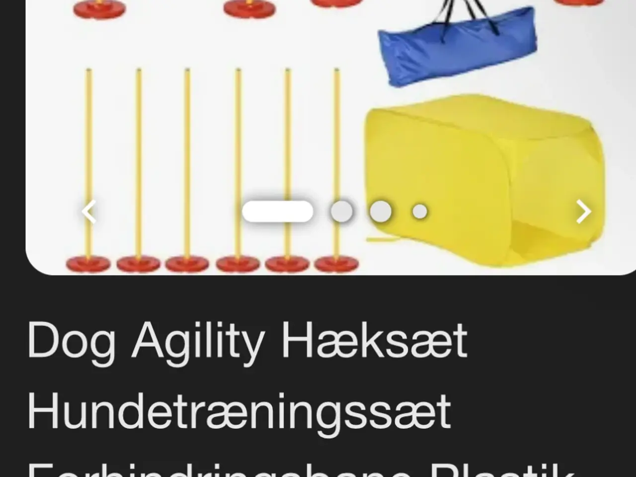 Billede 1 - Hundetræningsbane 
