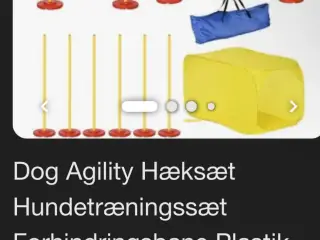 Hundetræningsbane