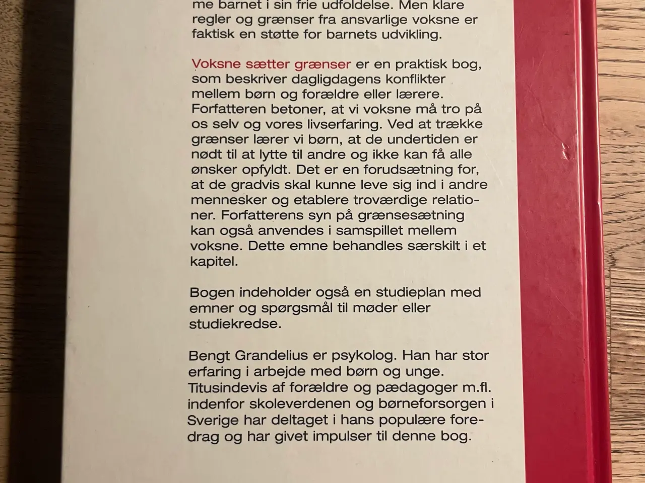 Billede 2 - Voksne sætter grænser, Bengt Grandelius