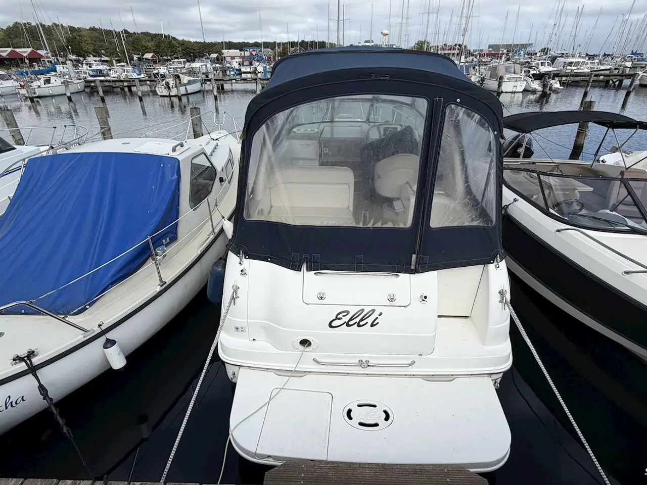 Billede 5 - Sea Ray 260 Sundancer