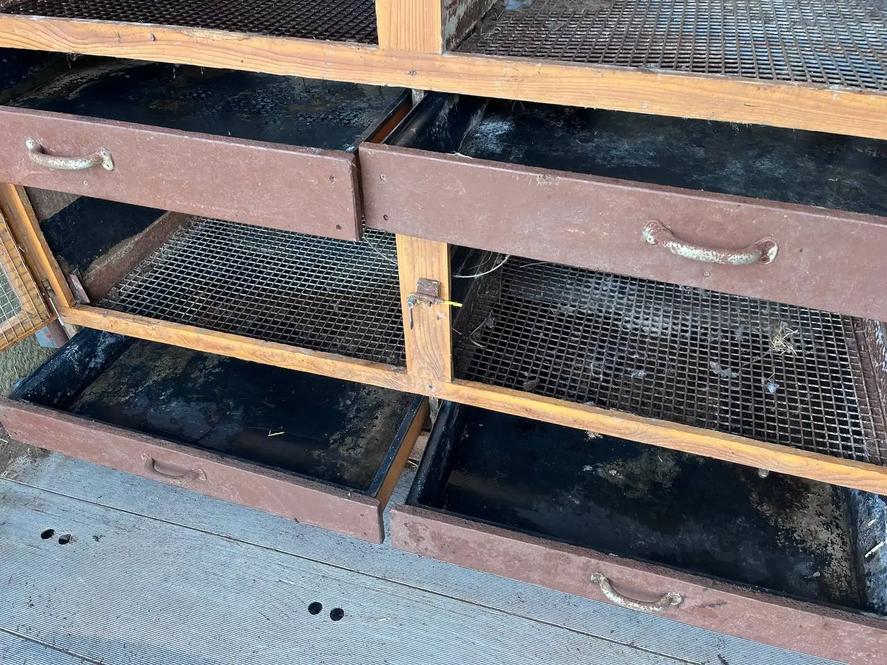 Billede 3 - Kaninavlsbur 200x190x70cm til salg i zone 6818