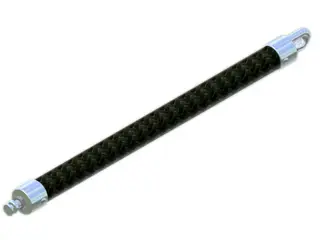 Bagbom Bockmann MSS krog