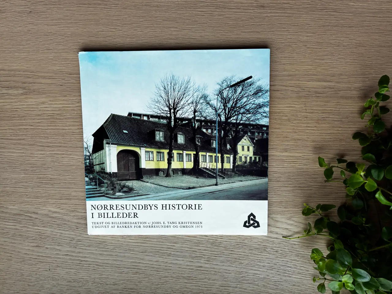 Billede 2 - Nørresundbys Historie i Billeder
